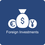 20.Foreign Investments